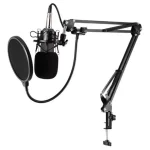 Microfono Profesional Condensador Bm-800tz Unidireccional