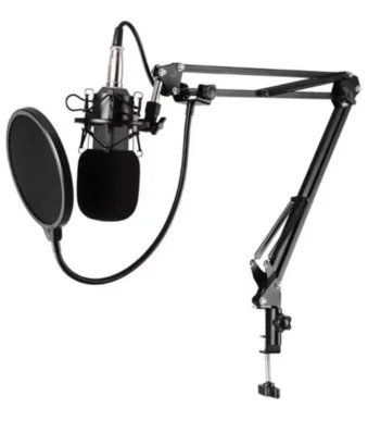 Microfono Profesional Condensador Bm-800tz Unidireccional
