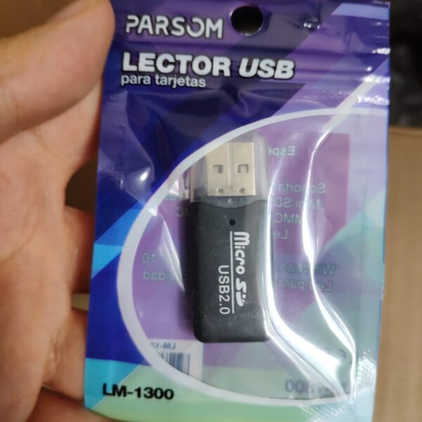 lector de memoria parson