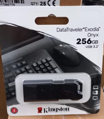 pen drive kingston 256 gb