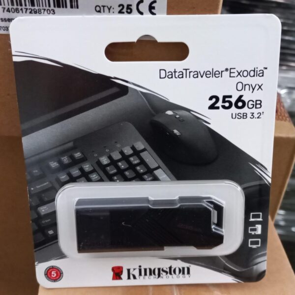 pen drive kingston 256 gb