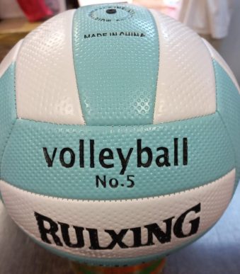 PELOTA DE VOLLEYBALL N5