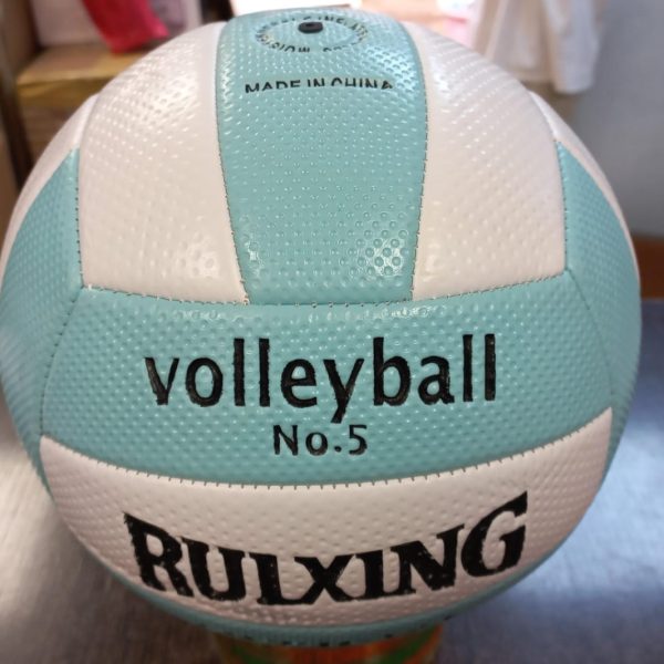 PELOTA DE VOLLEYBALL N5