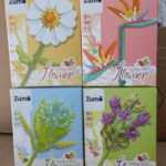 ZAPATERO 5 NIVELES V1 MODV-00DH