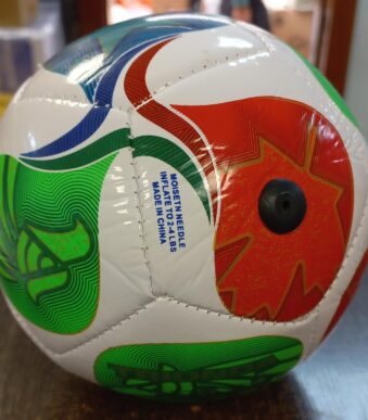 Pelota del mundial n2 (chica)
