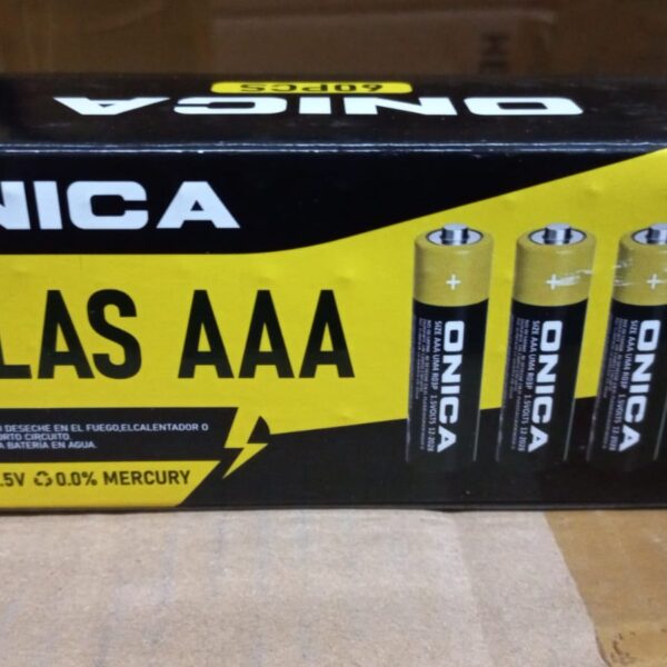 PAQUETE POR 60 PILAS AA ONICA OA-PA002