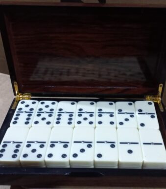 JUEGO DE DOMINO PREMIUM PK-200X48