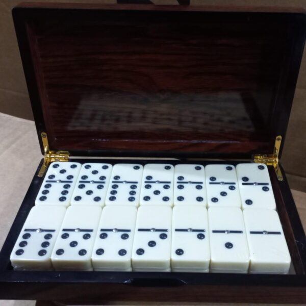 JUEGO DE DOMINO PREMIUM PK-200X48