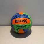 PELOTA DE VOLLEYBALL N5