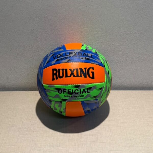 PELOTA DE VOLLEYBALL N5