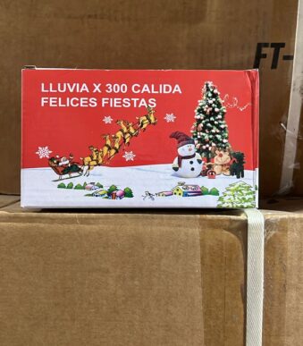 CORTINA 300 LEDS BLANCO POL22