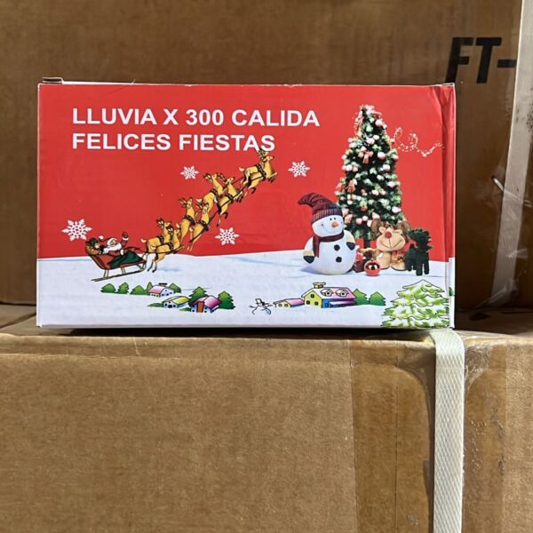 CORTINA 300 LEDS BLANCO POL22