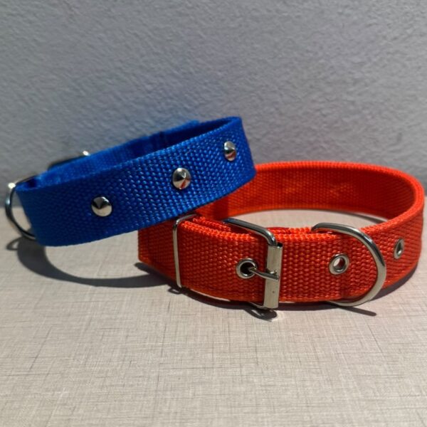 Collar para perro